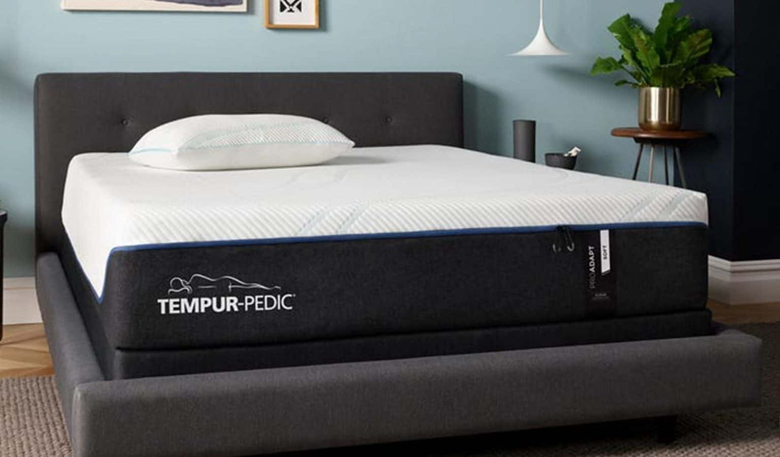 best tempurpedic mattress for back pain